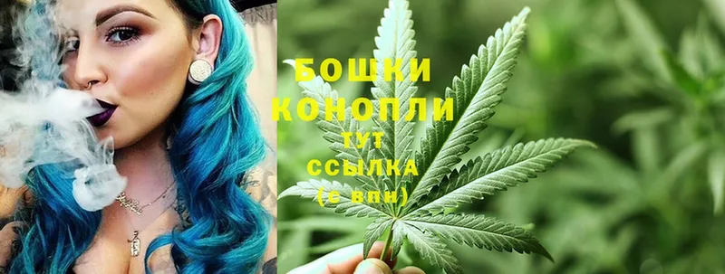 МАРИХУАНА SATIVA & INDICA  Александровск-Сахалинский 